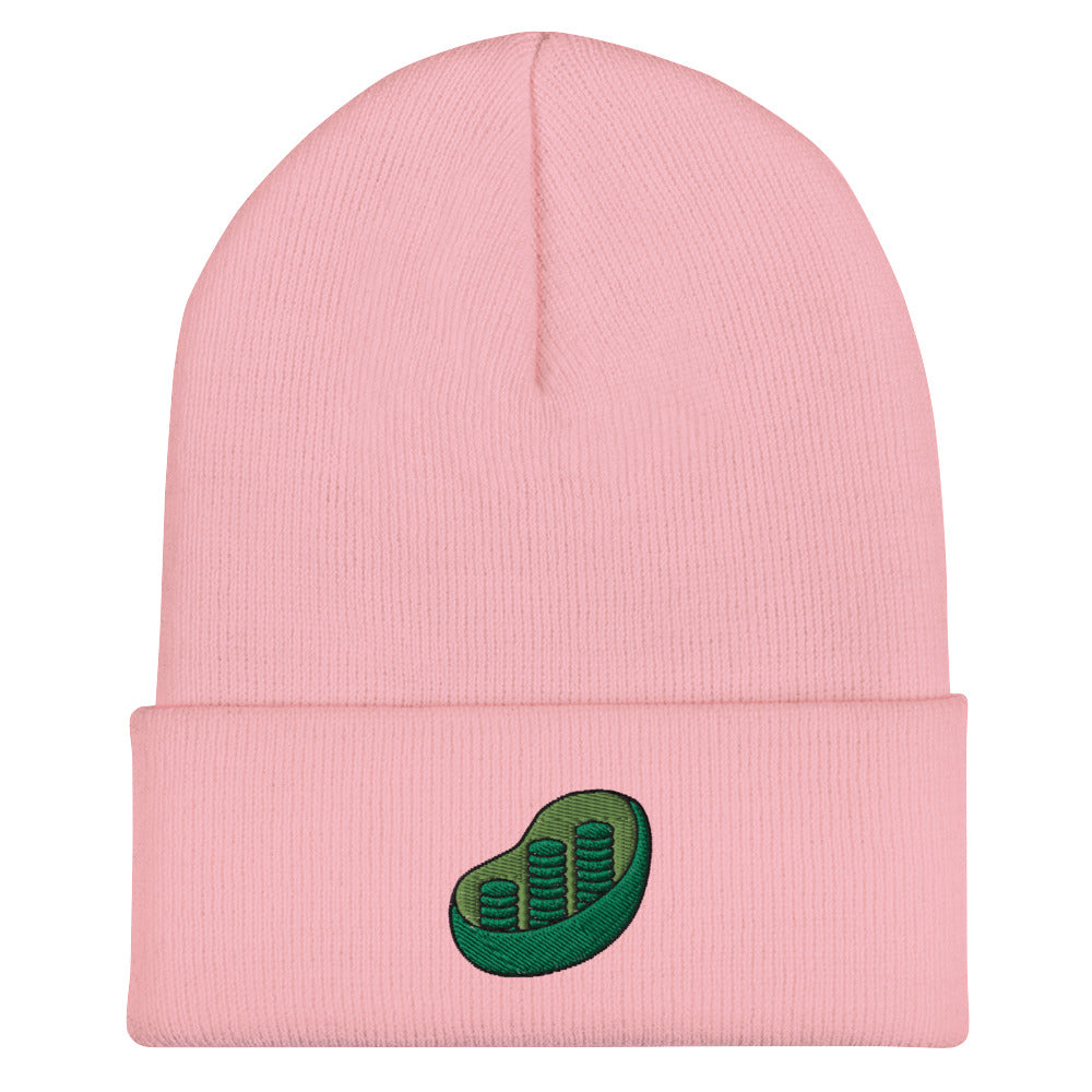 Chloroplast Embroidered Beanie