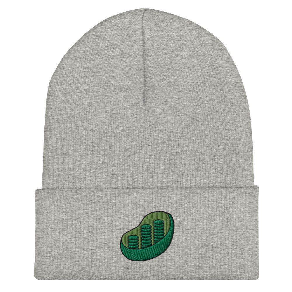Chloroplast Embroidered Beanie
