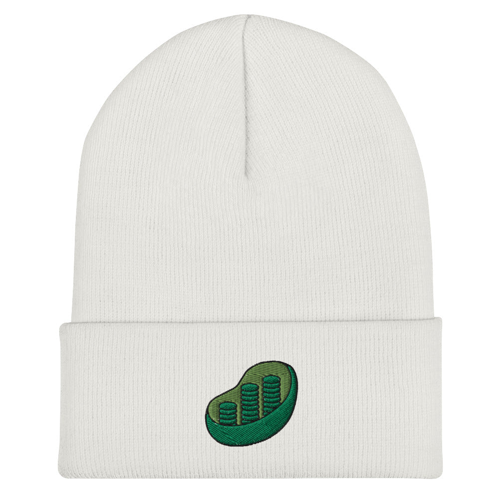 Chloroplast Embroidered Beanie