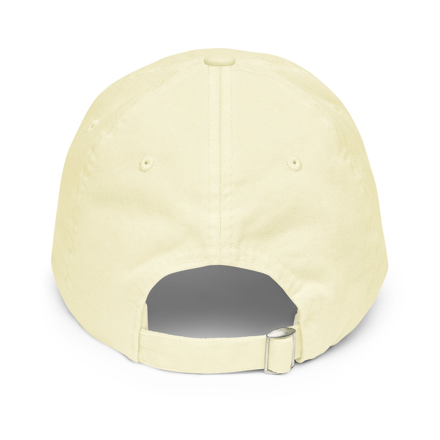 Brain Embroidered Pastel Hat