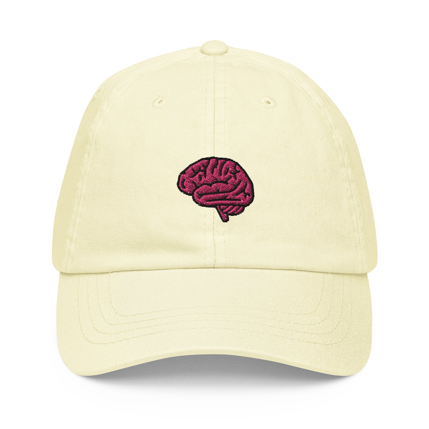 Brain Embroidered Pastel Hat