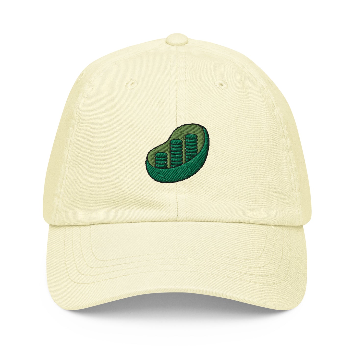 Chloroplast Embroidered Pastel Hat