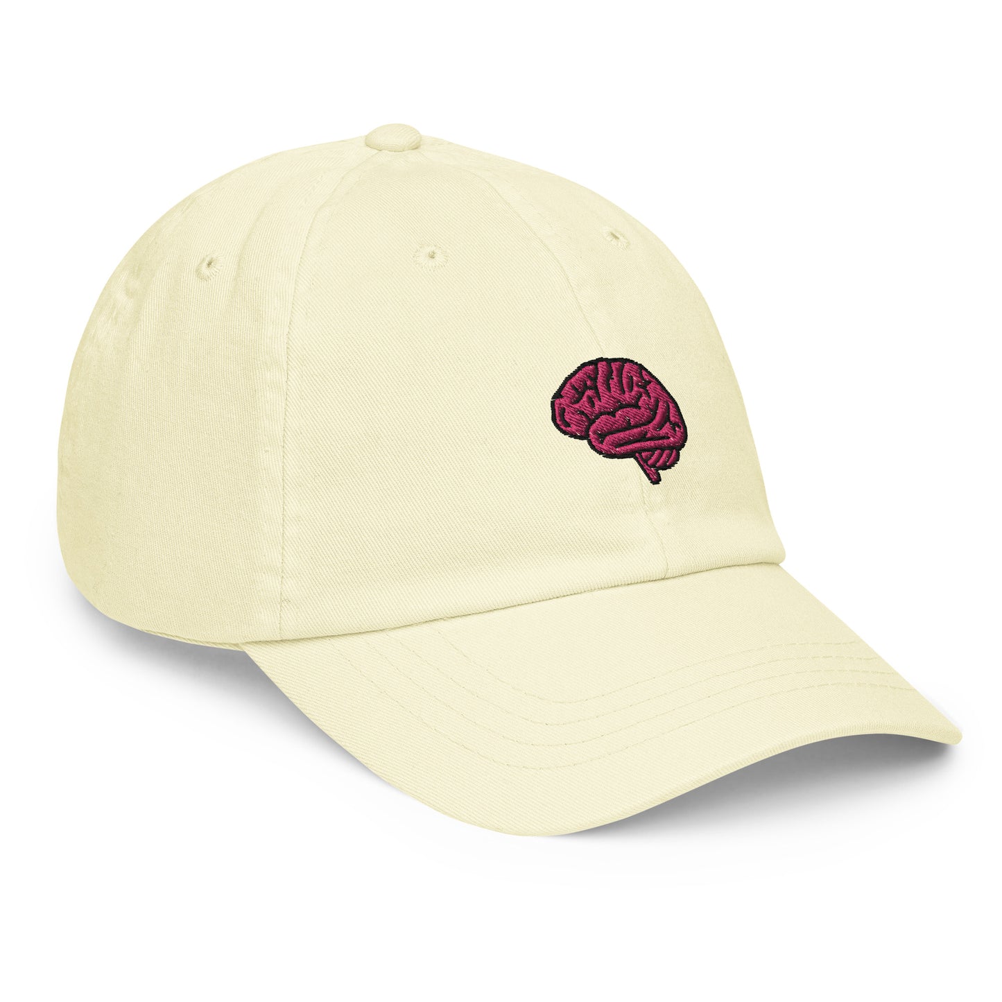Brain Embroidered Pastel Hat