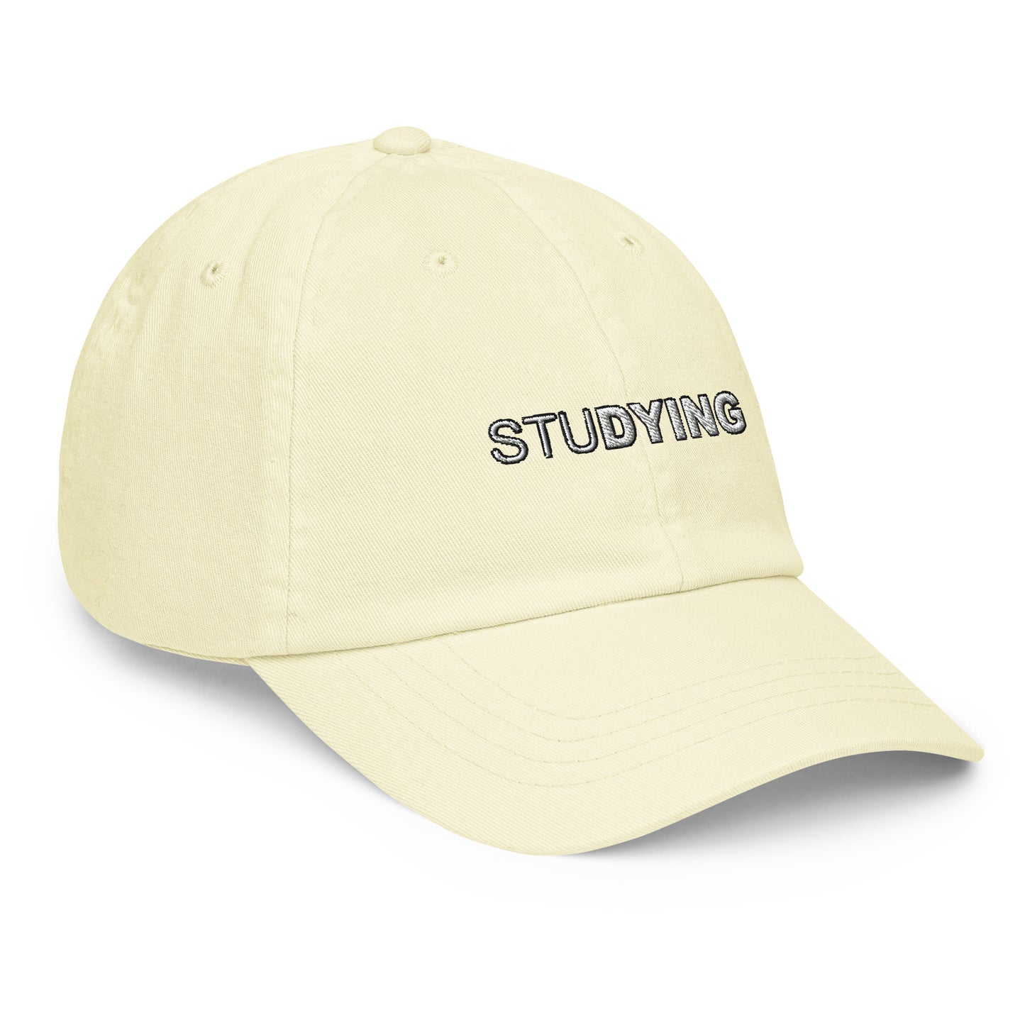 Studying Embroidered Pastel Hat