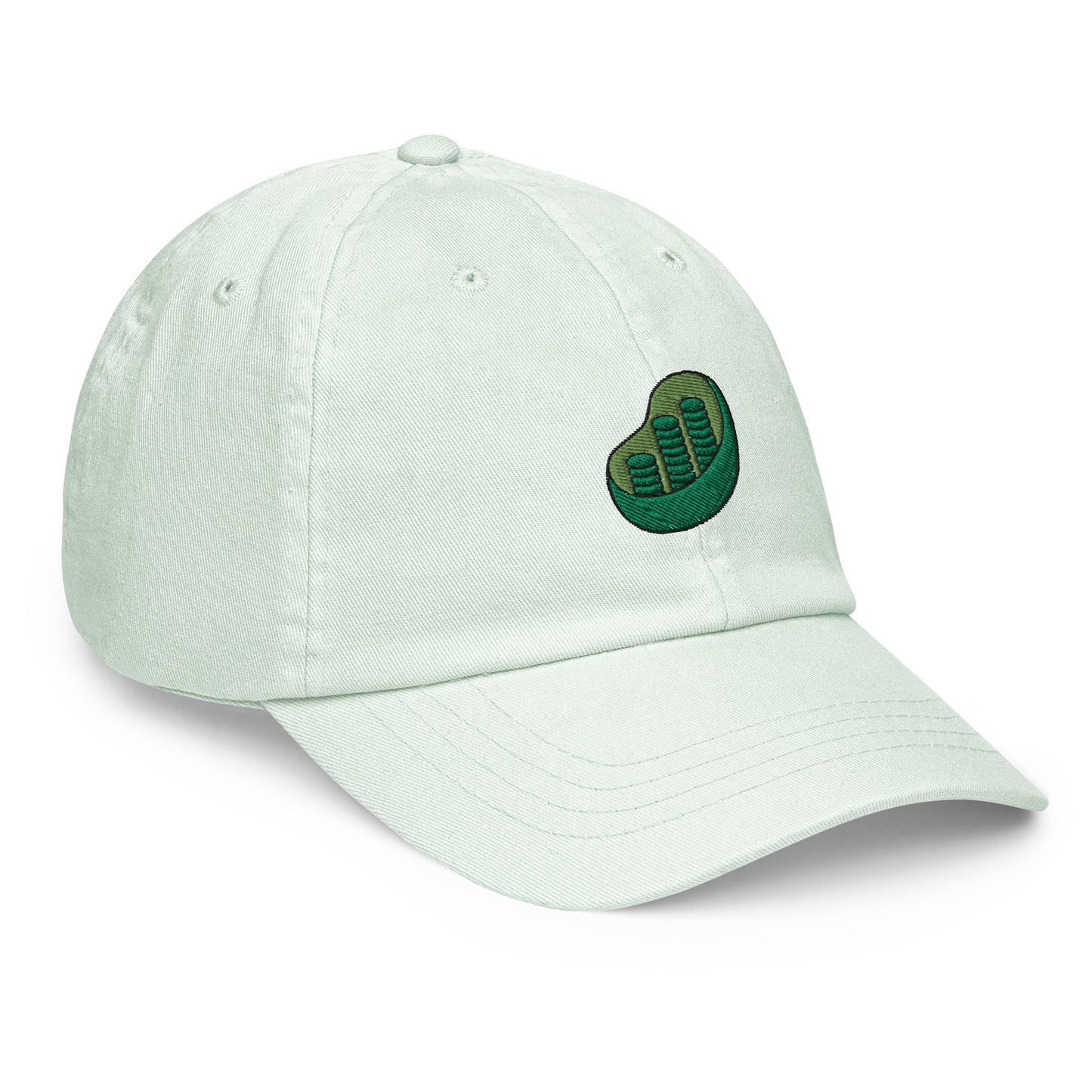 Chloroplast Embroidered Pastel Hat