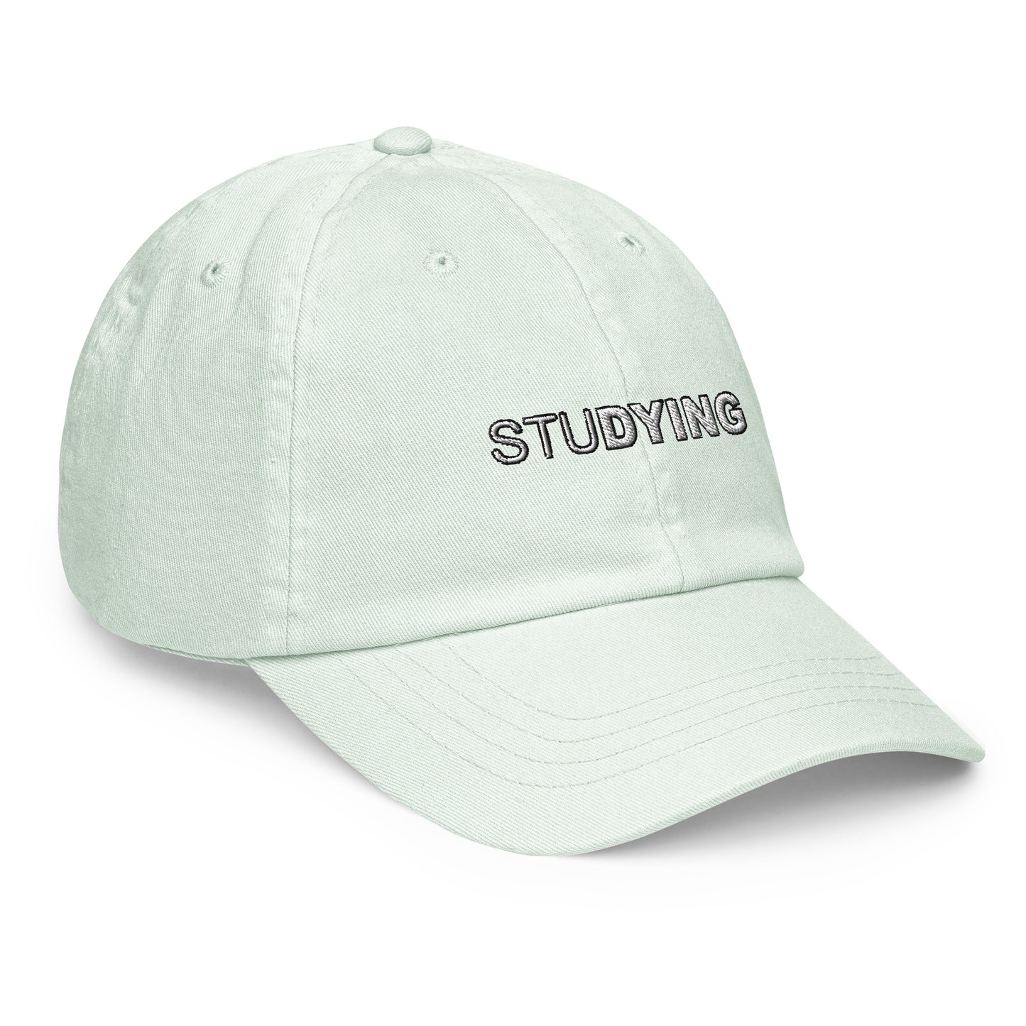 Studying Embroidered Pastel Hat
