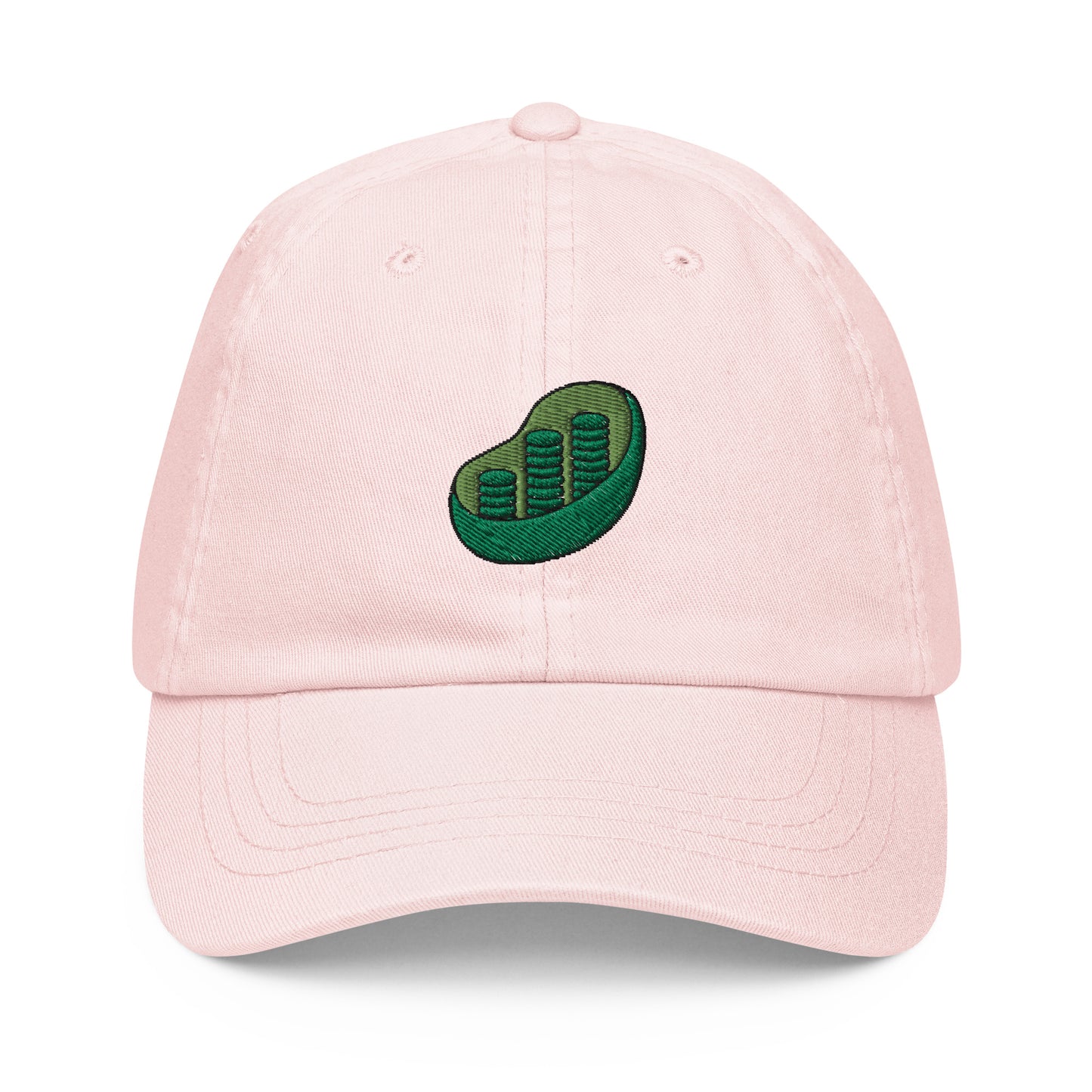 Chloroplast Embroidered Pastel Hat