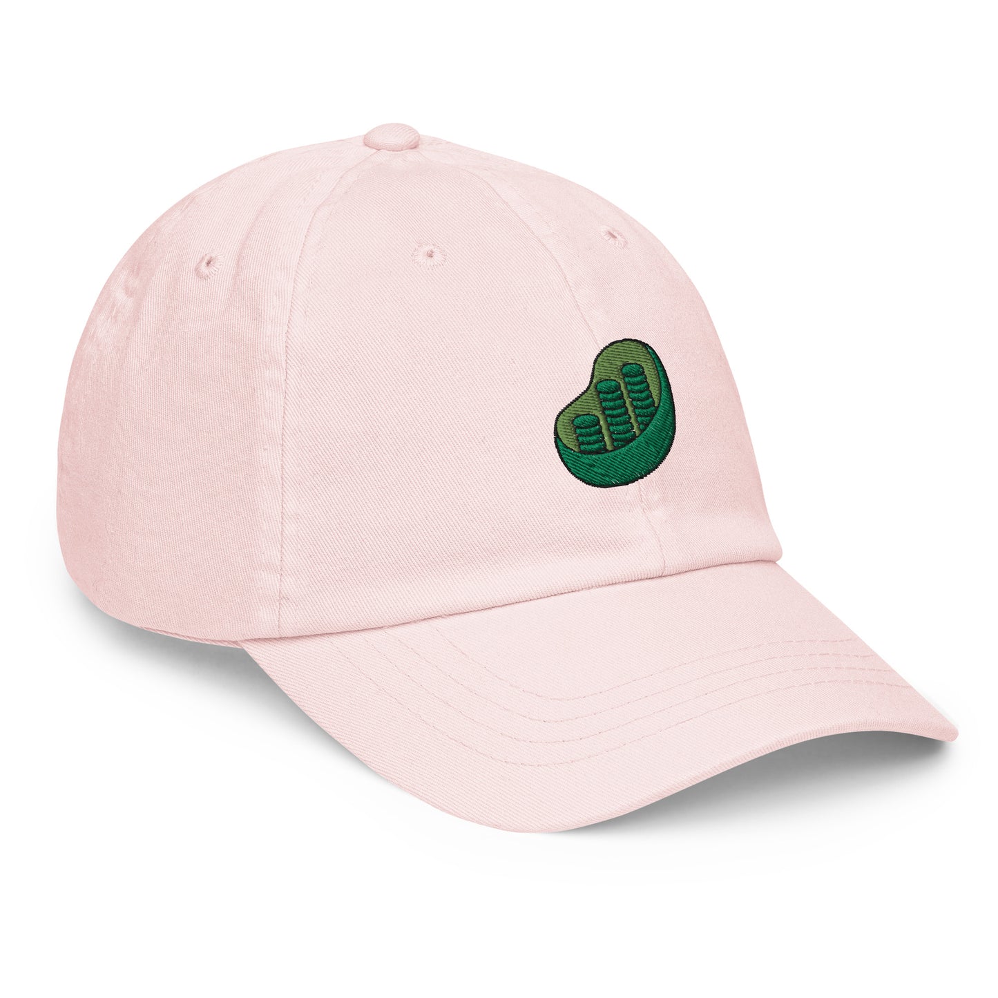 Chloroplast Embroidered Pastel Hat