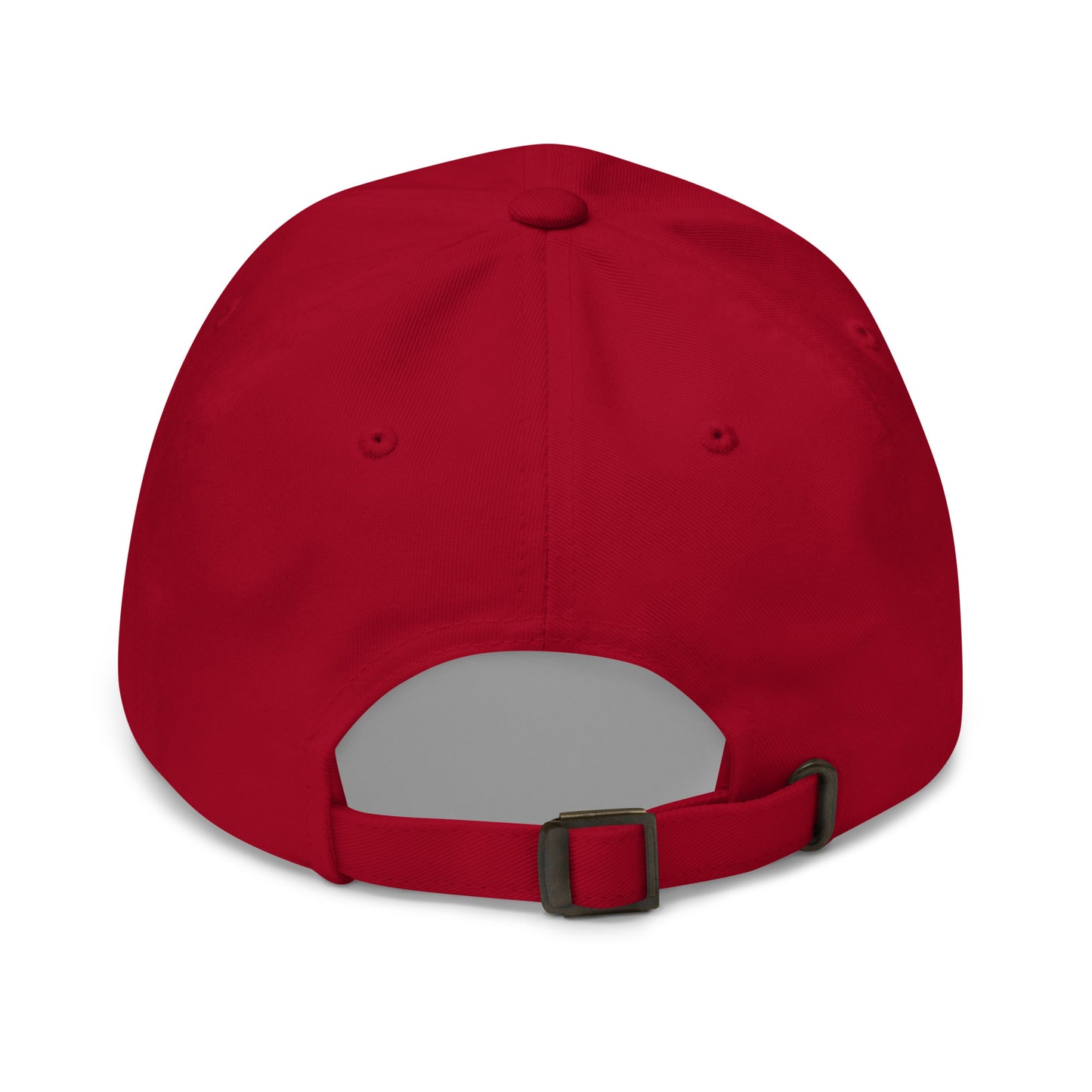 Norepinephrine Embroidered Hat