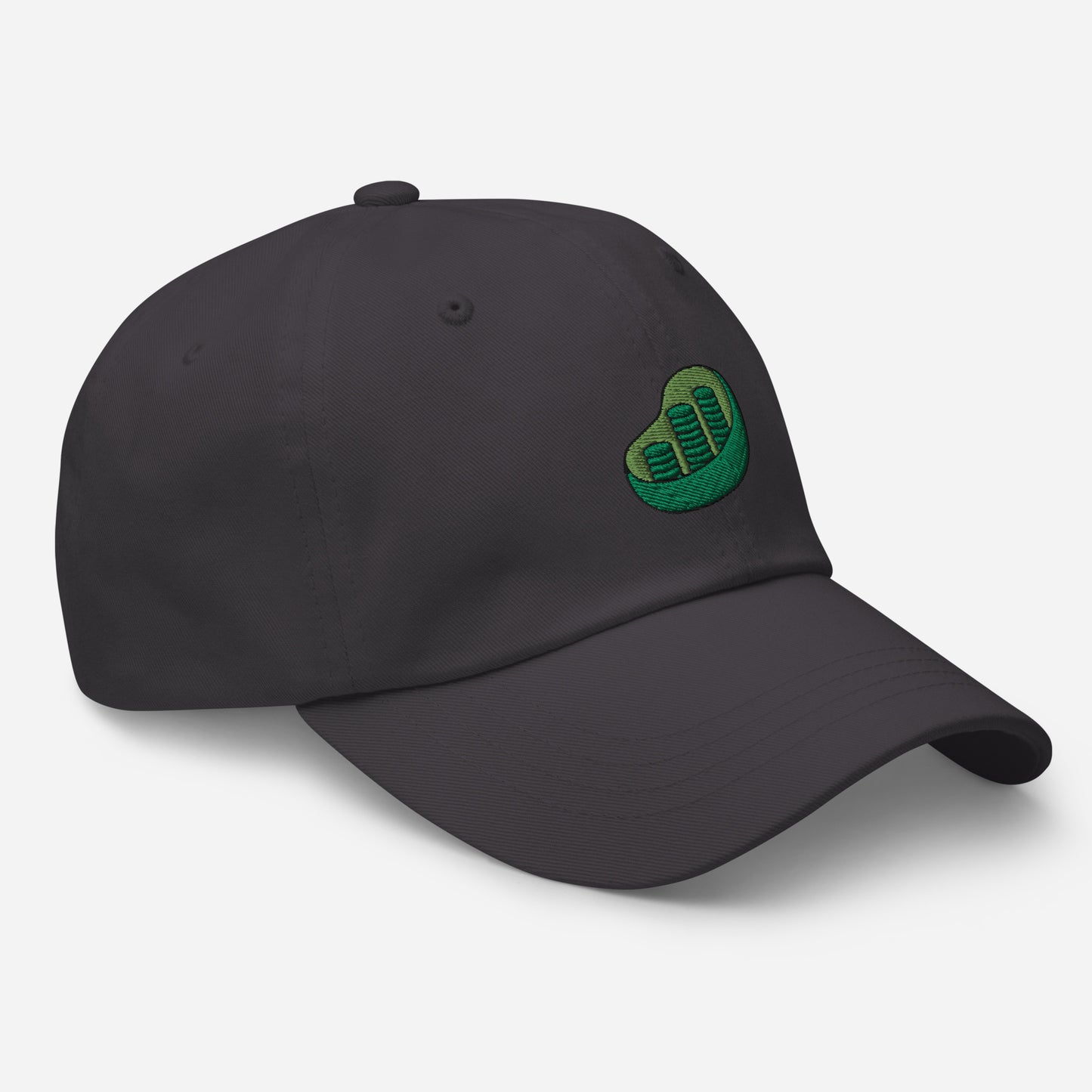 Chloroplast Embroidered Hat