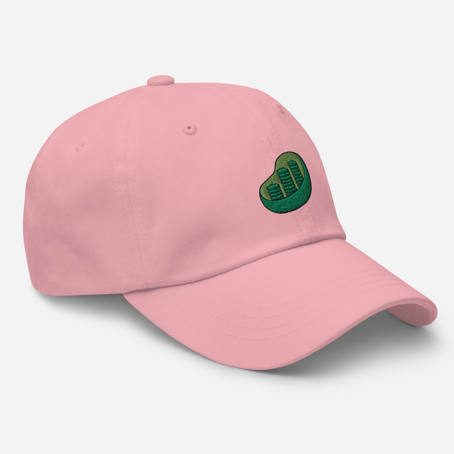 Chloroplast Embroidered Hat