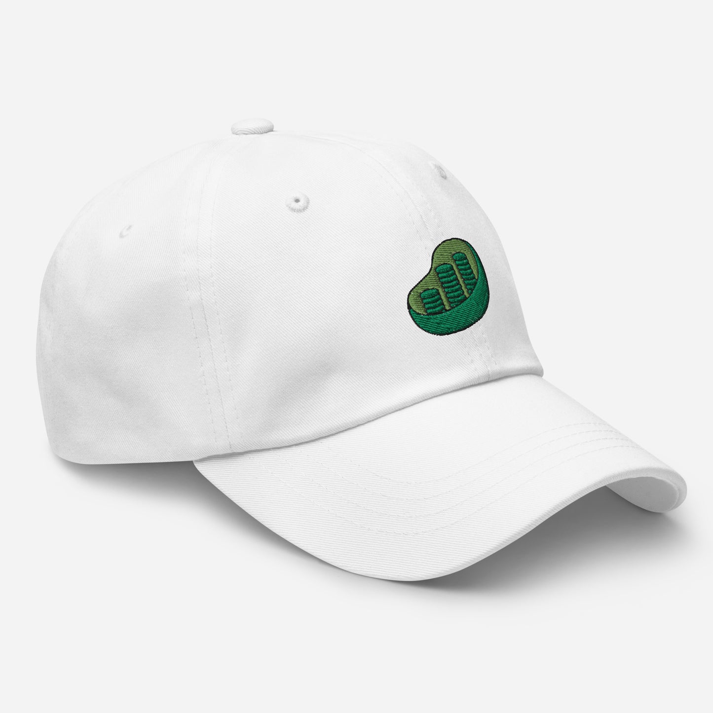 Chloroplast Embroidered Hat