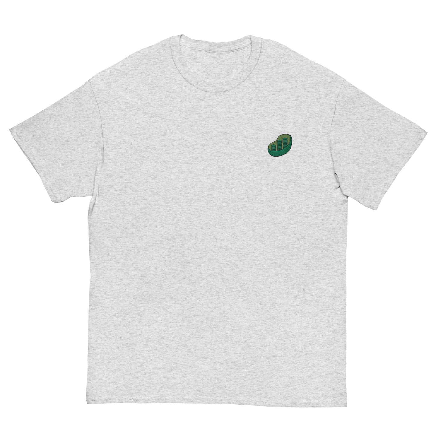 Chloroplast Embroidered Oversized T-shirt