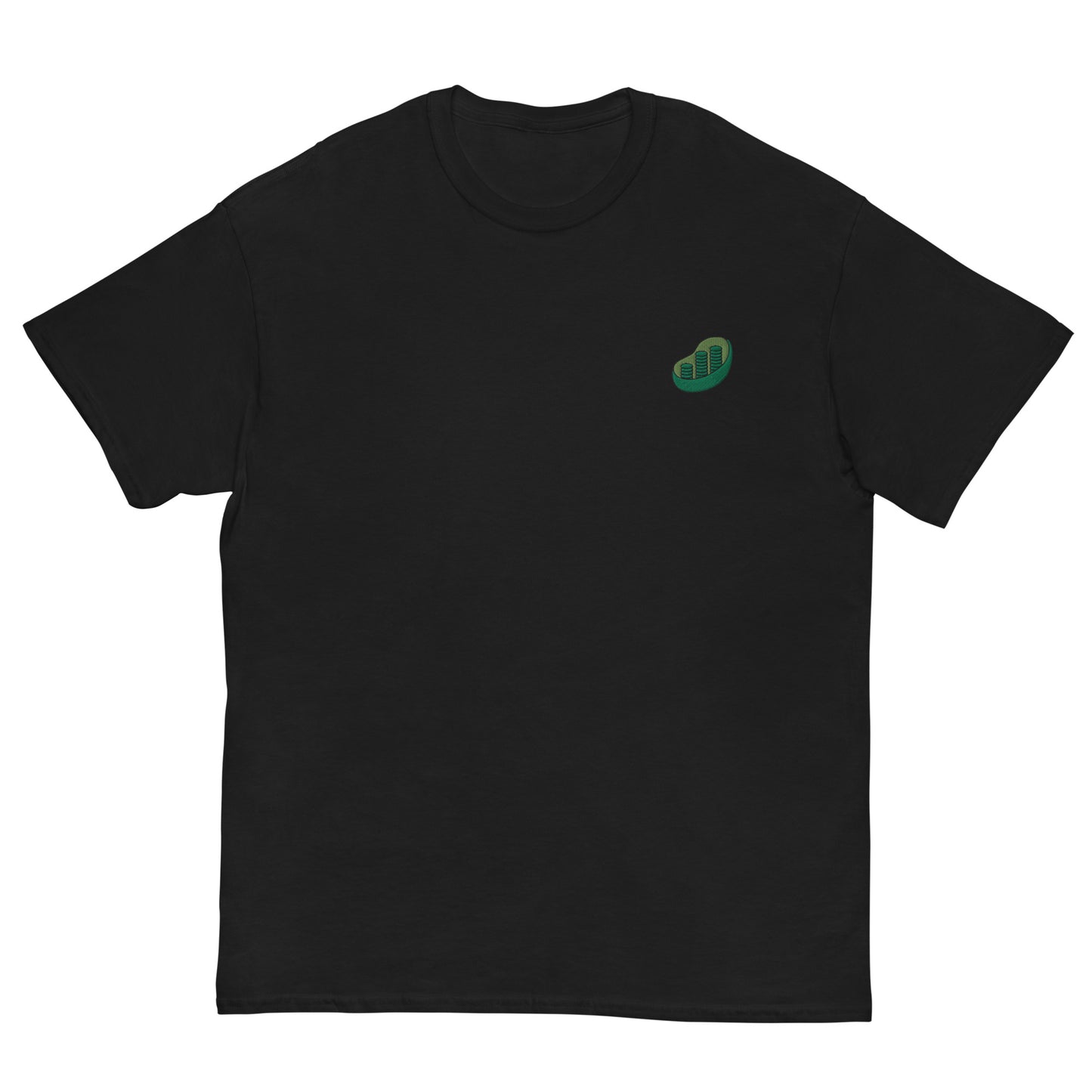 Chloroplast Embroidered Oversized T-shirt