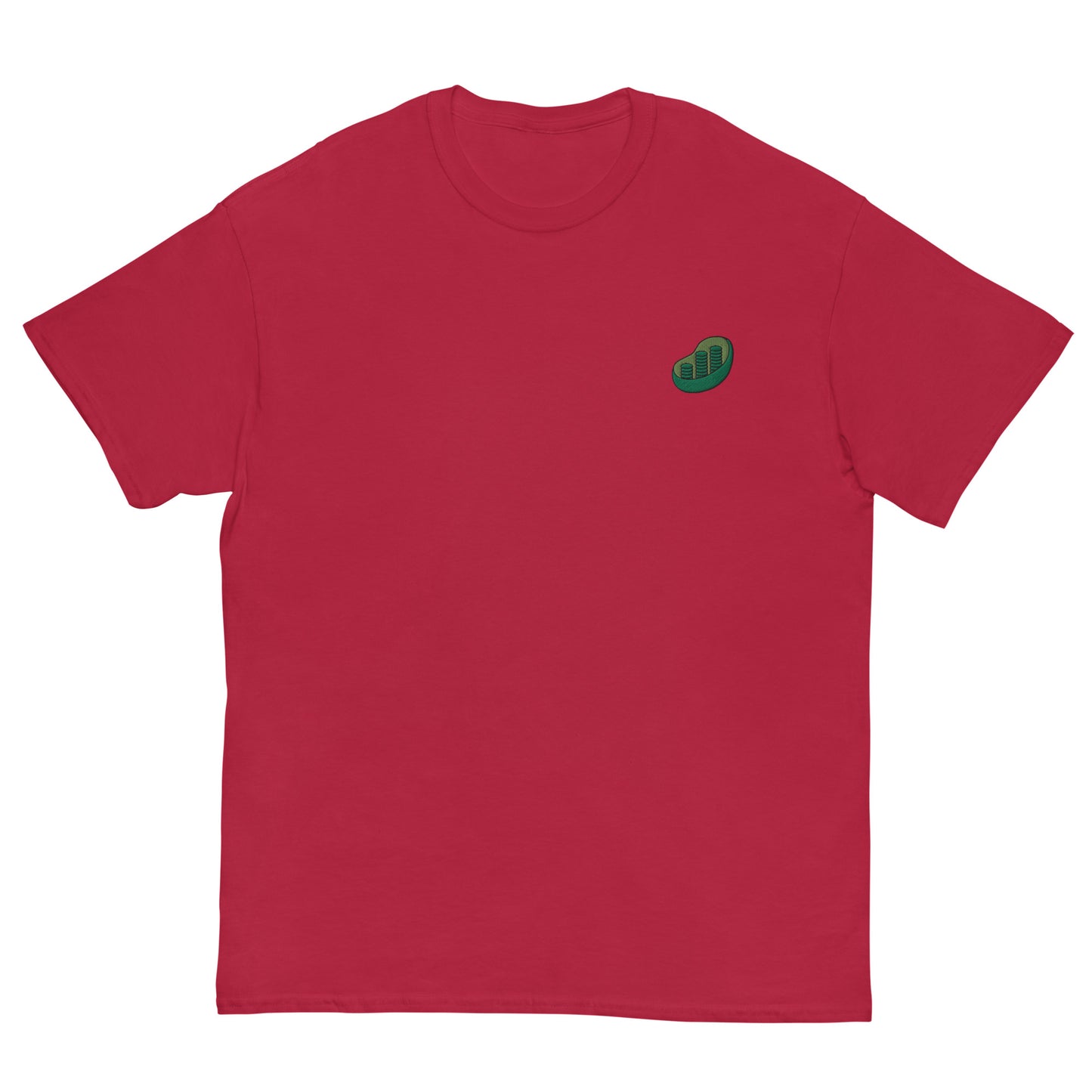 Chloroplast Embroidered Oversized T-shirt