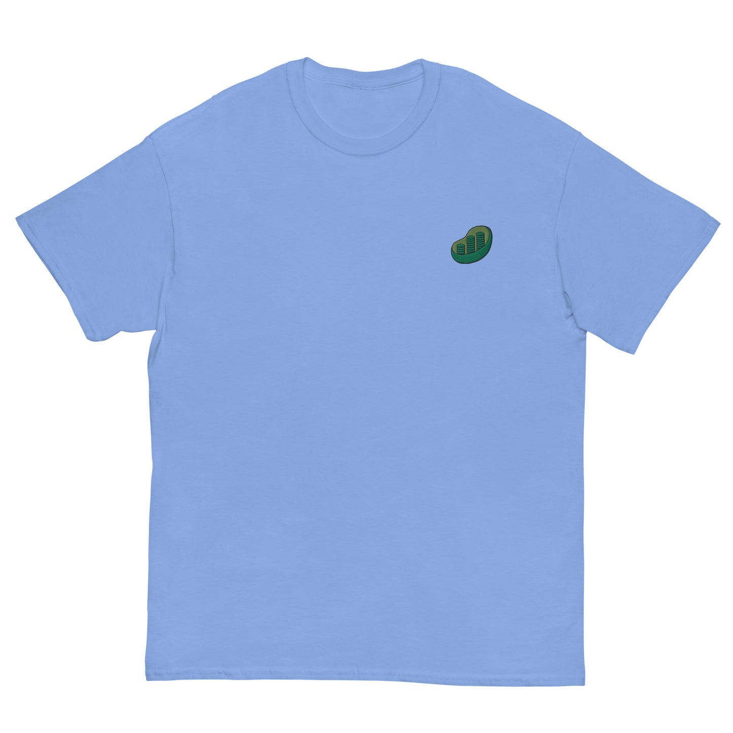 Chloroplast Embroidered Oversized T-shirt