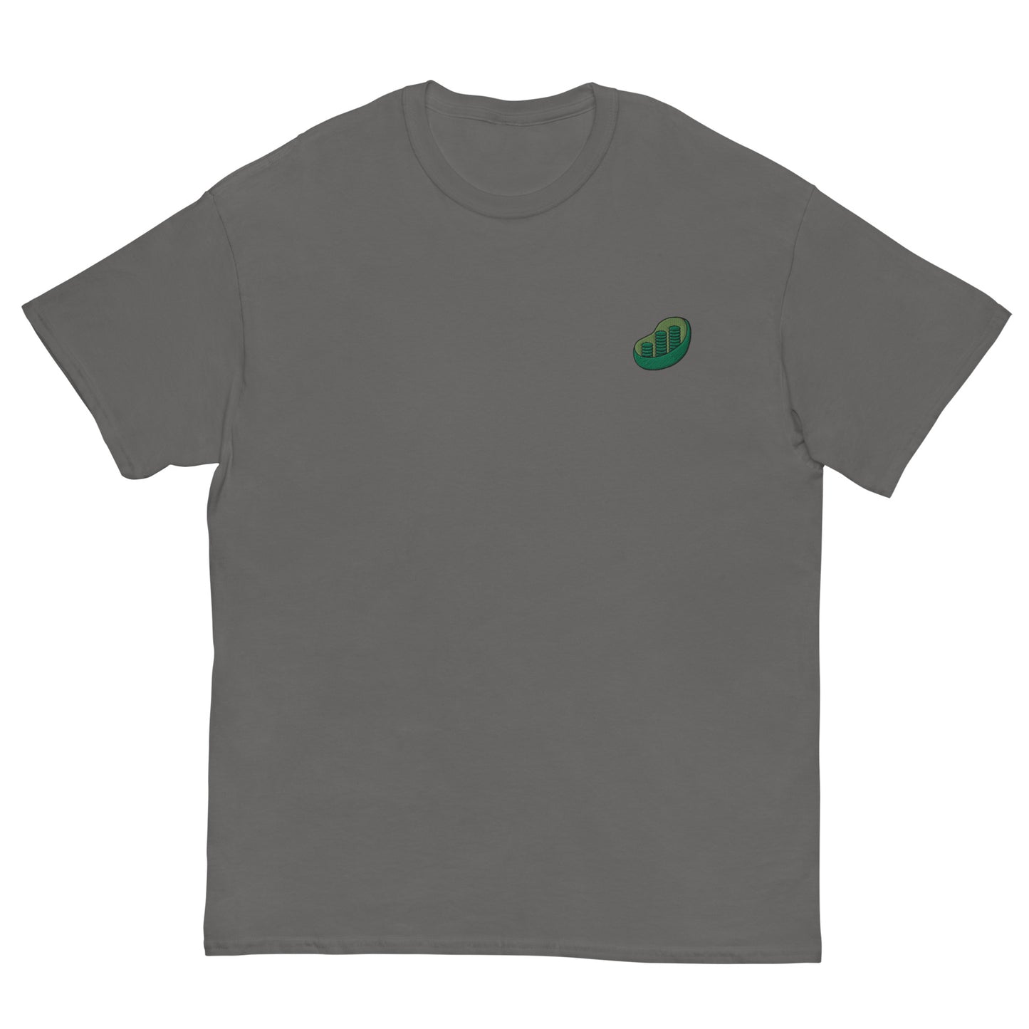 Chloroplast Embroidered Oversized T-shirt