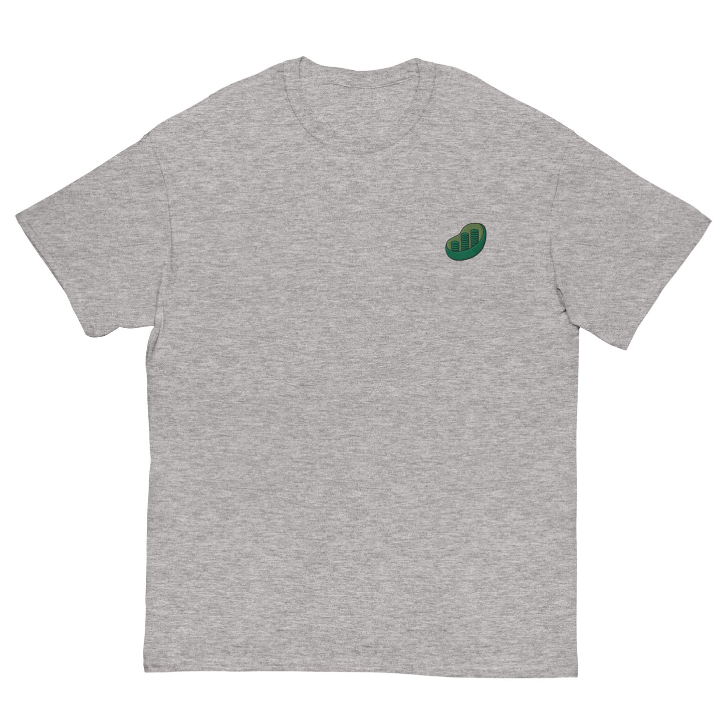 Chloroplast Embroidered Oversized T-shirt