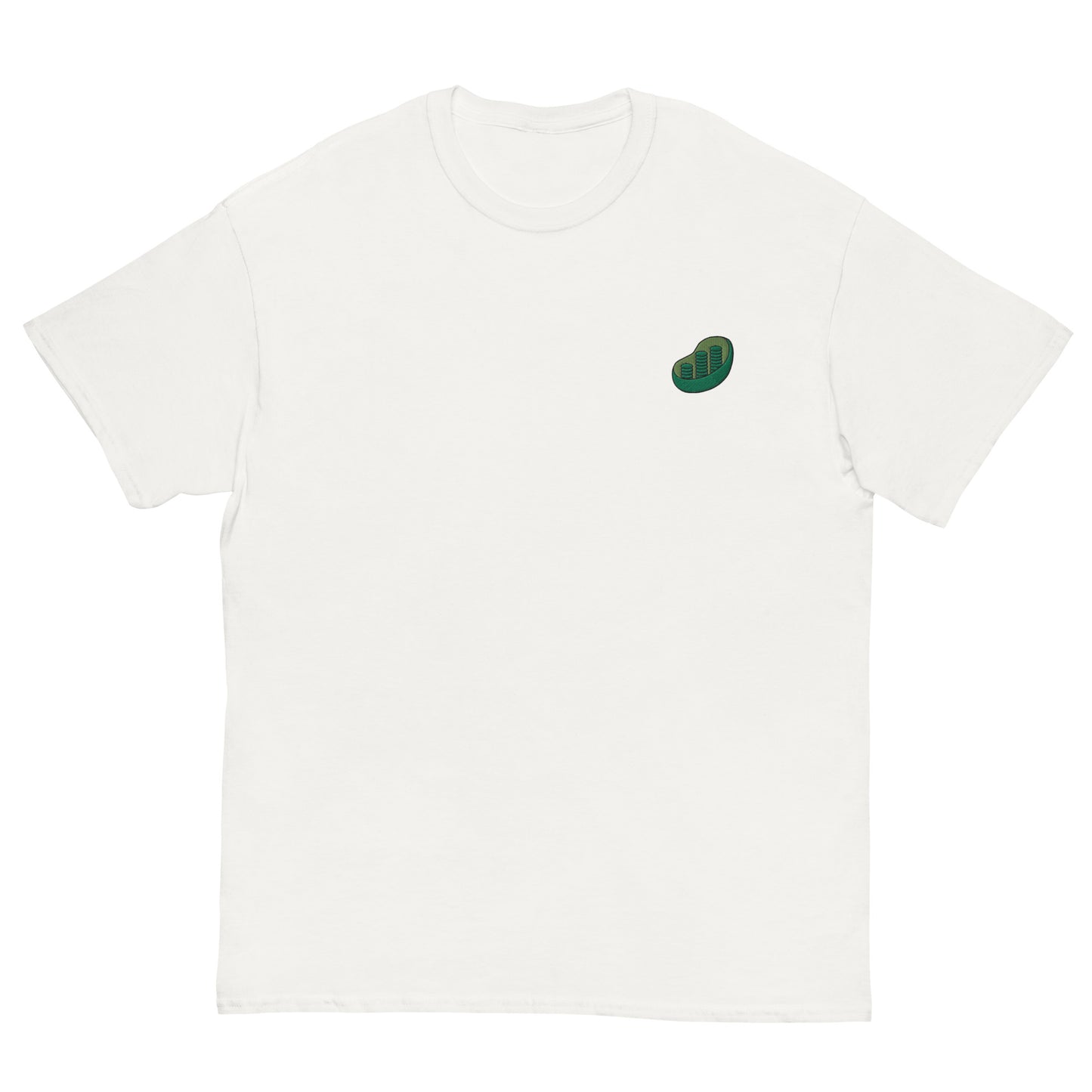 Chloroplast Embroidered Oversized T-shirt