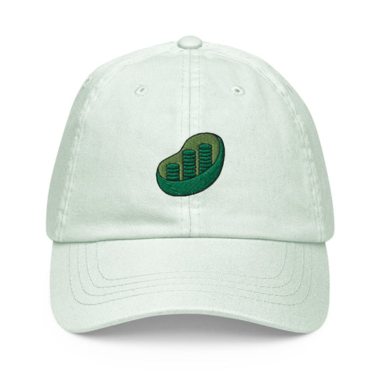 Chloroplast Embroidered Pastel Hat