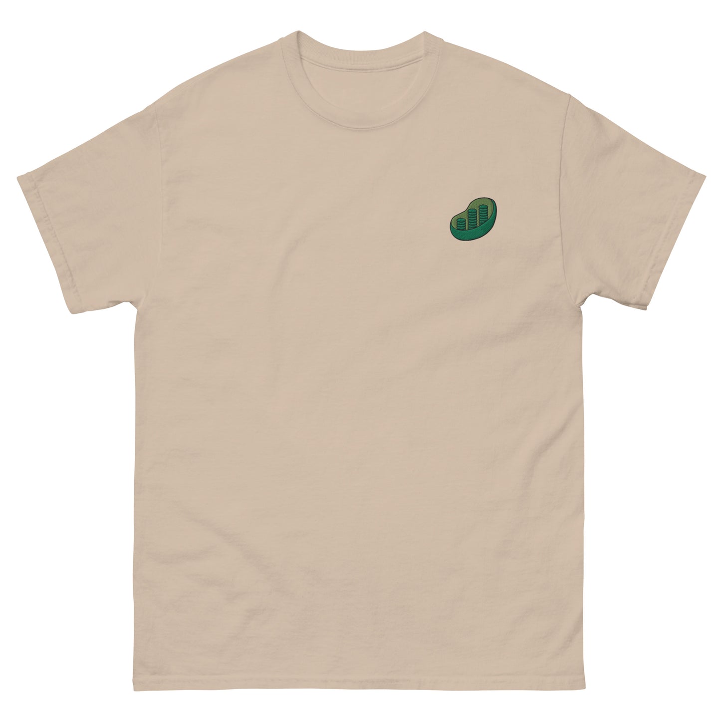 Chloroplast Embroidered Oversized T-shirt