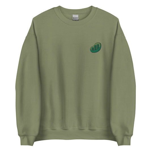 Chloroplast Embroidered Sweatshirt