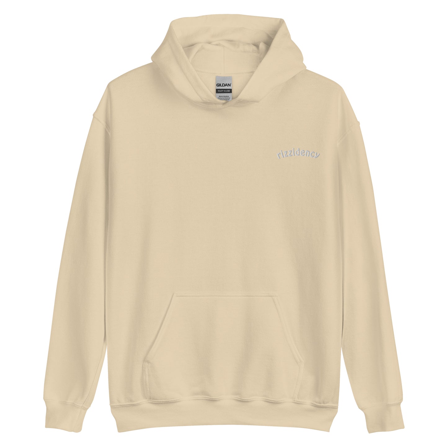 Rizzidency Embroidered Hoodie