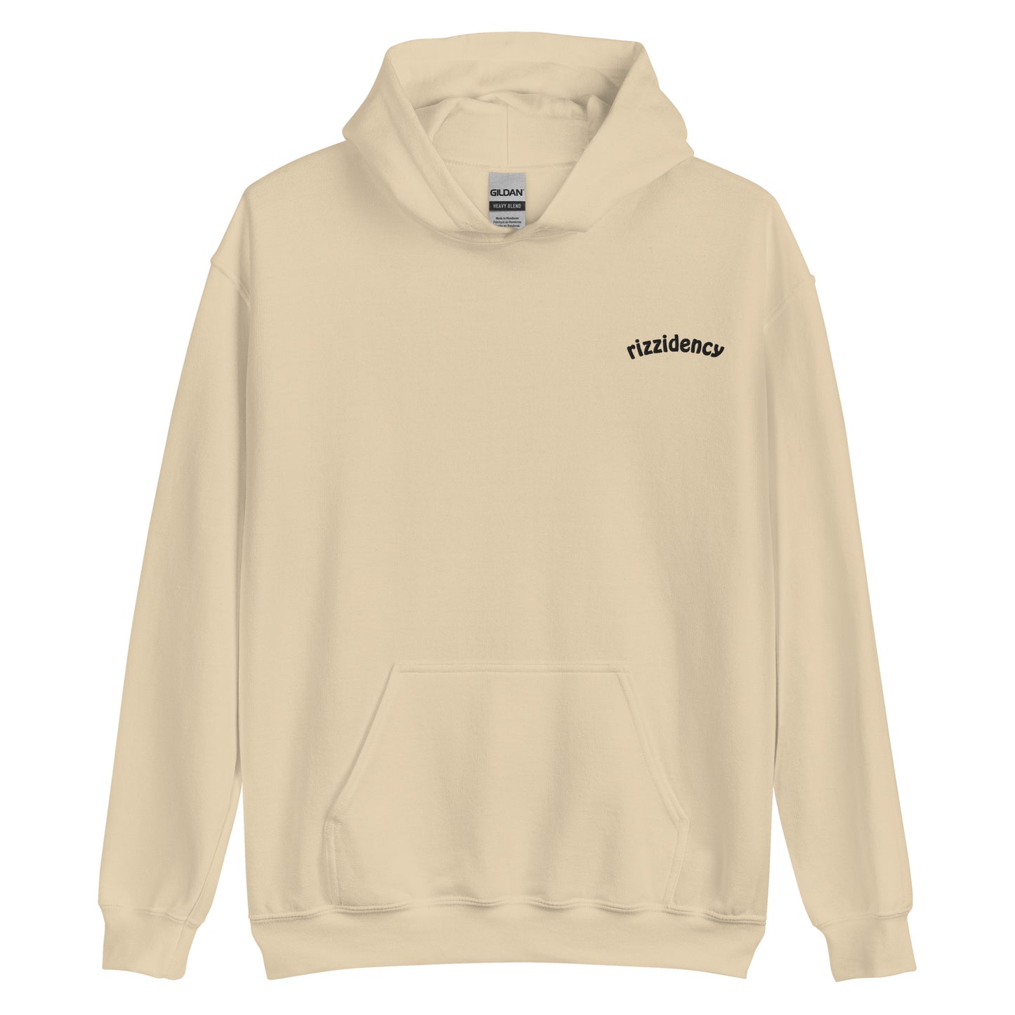 Rizzidency Embroidered Hoodie